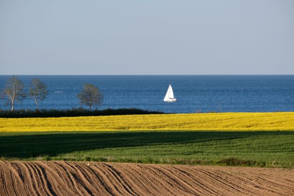 12 Katharina Möbius - Frühlingsfarben an der Ostsee