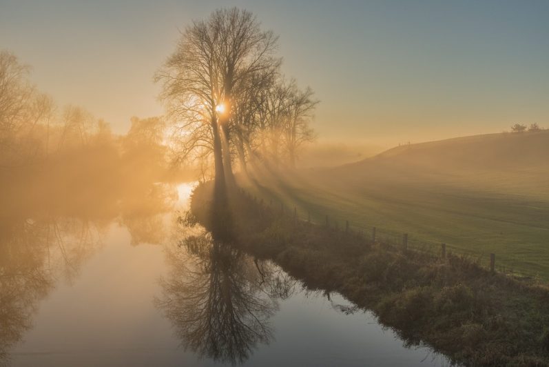 Ute Rofallski - Trave im Nebel